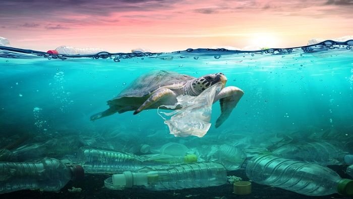 Onu acordo oceanos