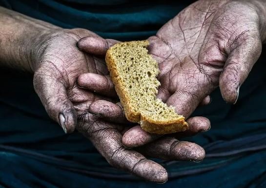 INSEGURANCA ALIMENTAR BRASIL